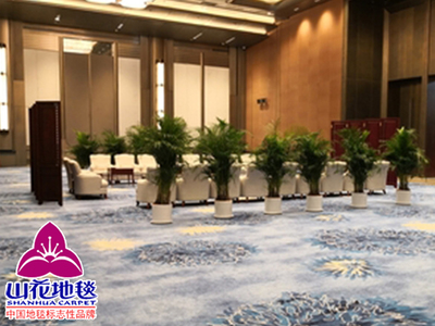 2018青岛上合组织峰会